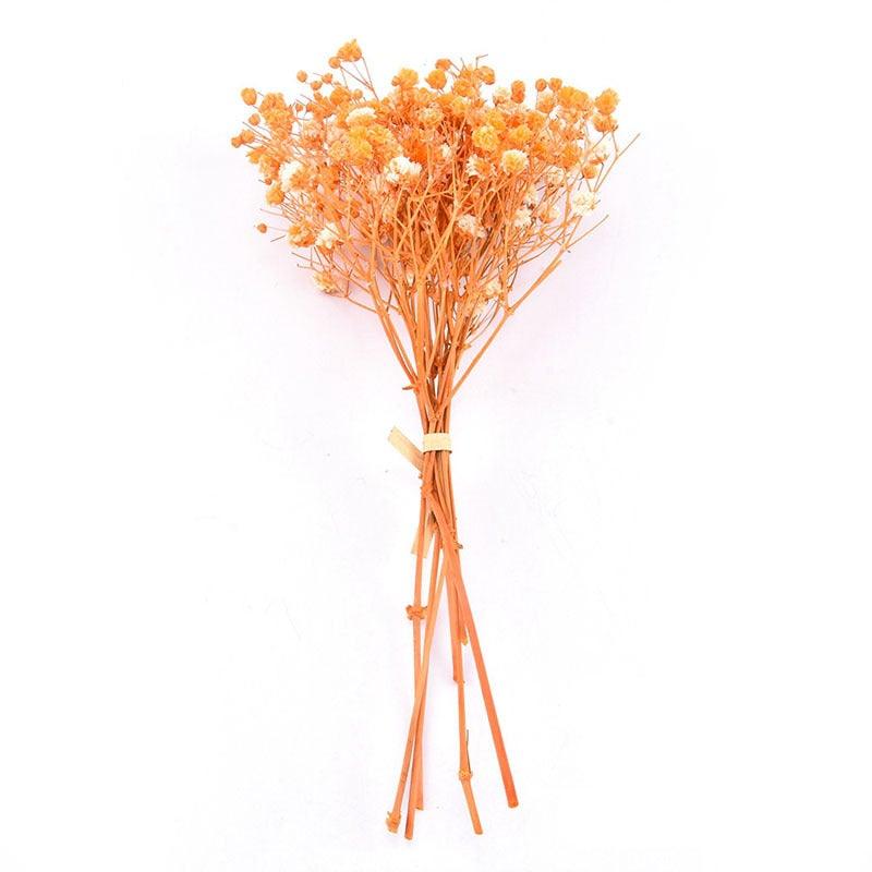 Natural Gypsophila Dried Flowers Mini Babysbreath Flower Preserve Floral  Decor Bouquet Wedding Party Home Backdrop Decor 12cm