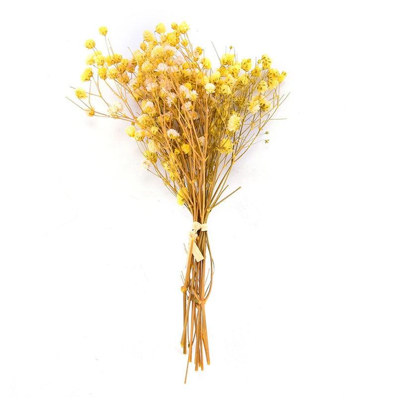 Natural Gypsophila Dried Flowers Mini Babysbreath Flower Preserve Floral  Decor Bouquet Wedding Party Home Backdrop Decor 12cm