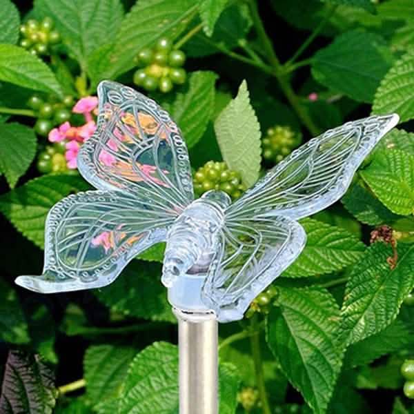 New Decorative Solar Outdoor Lights