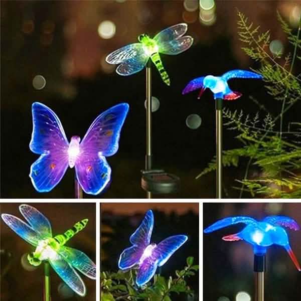 New Decorative Solar Outdoor Lights