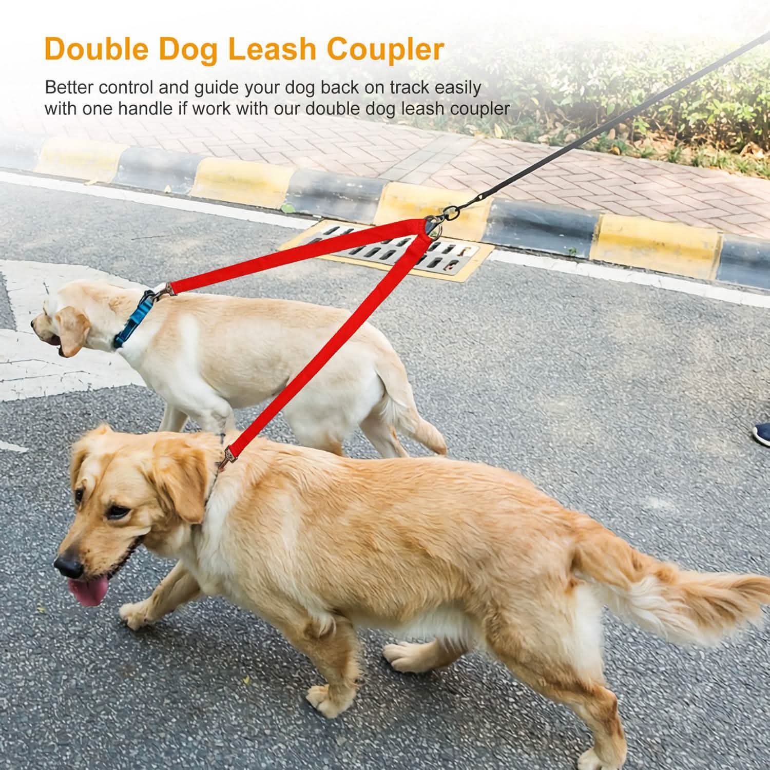 No-Tangle Dual Dogs Leash