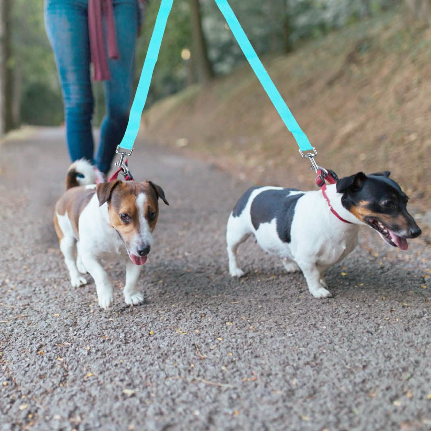 No-Tangle Dual Dogs Leash