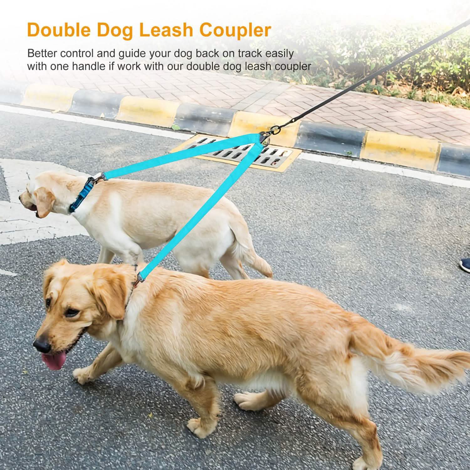 No-Tangle Dual Dogs Leash