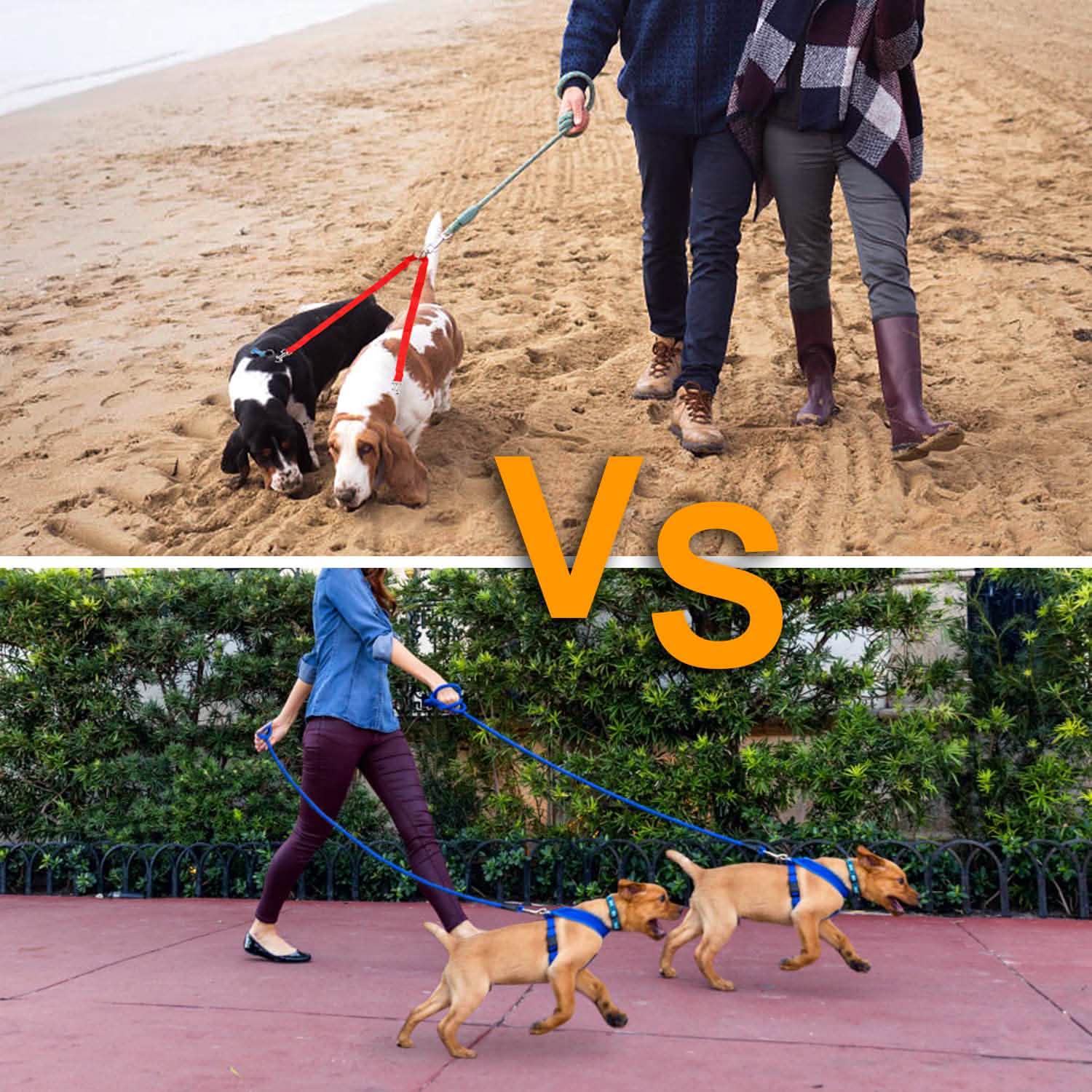 No-Tangle Dual Dogs Leash