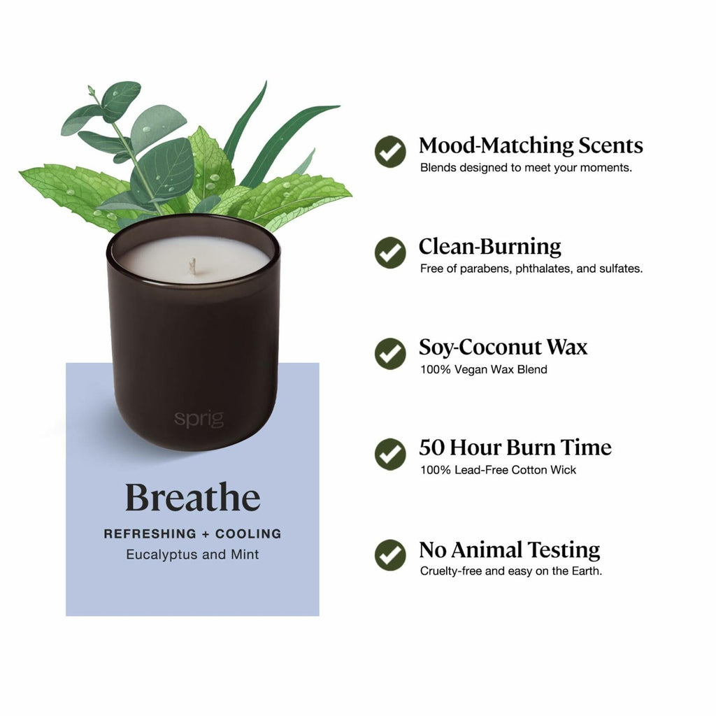 Sprig by Kohler Breathe Aromatherapy Candle with Eucalyptus and Mint -8 oz