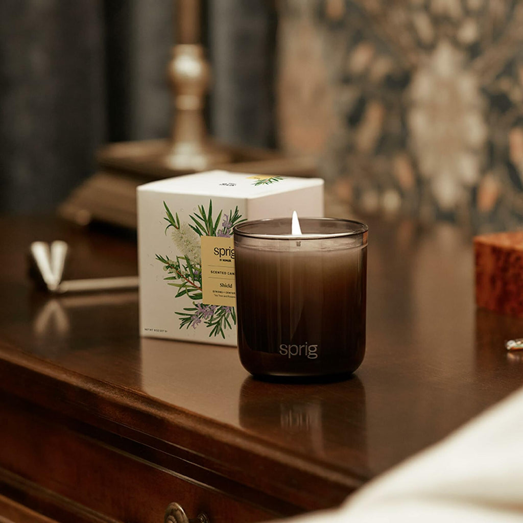 Sprig by Kohler Shield Aromatherapy Candle with Tea Tree and Rosemary - 8 oz