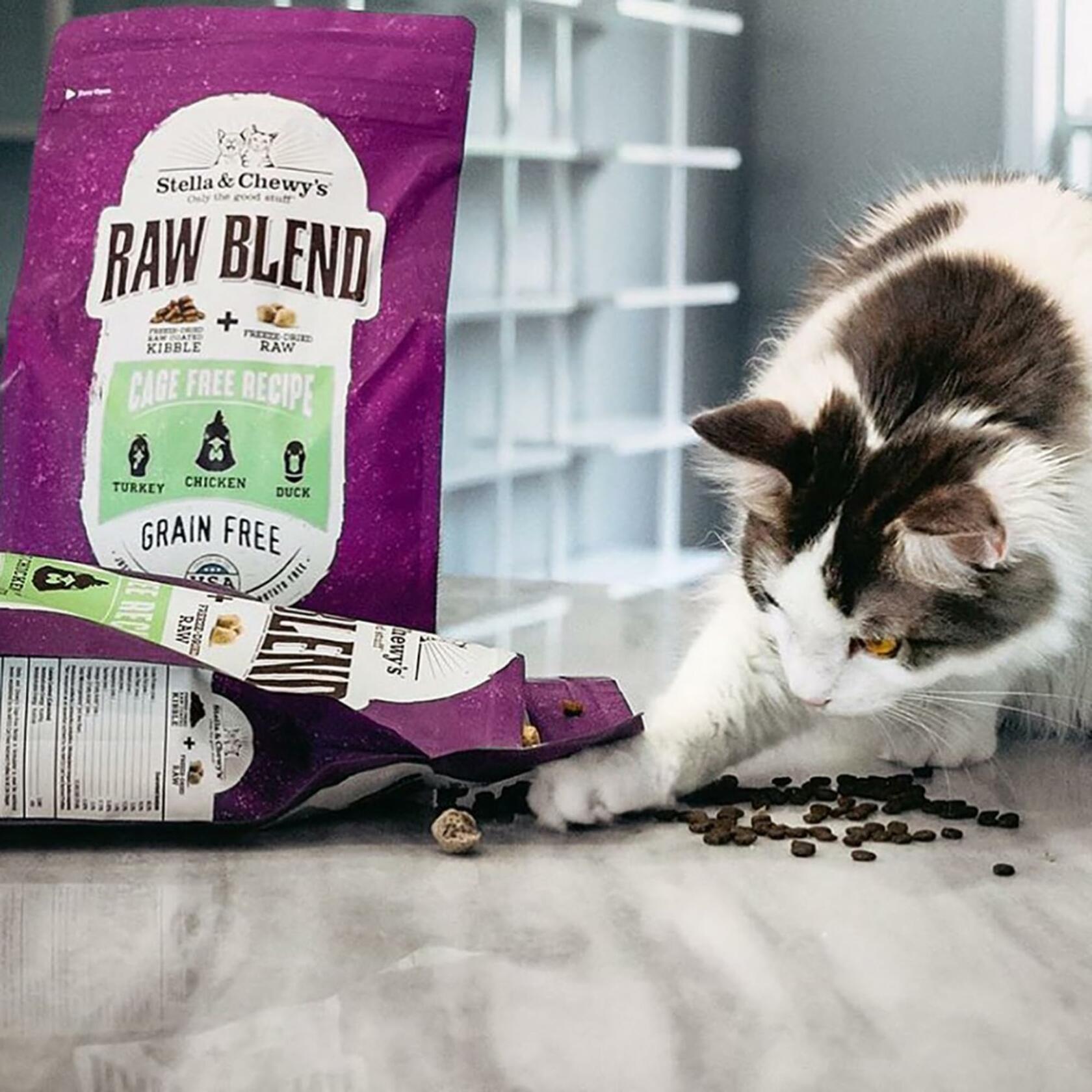BB01/25 Stella & Chewy's Raw Blend Cat Food 2.5 lb Grain Free Protein Rich Poultry