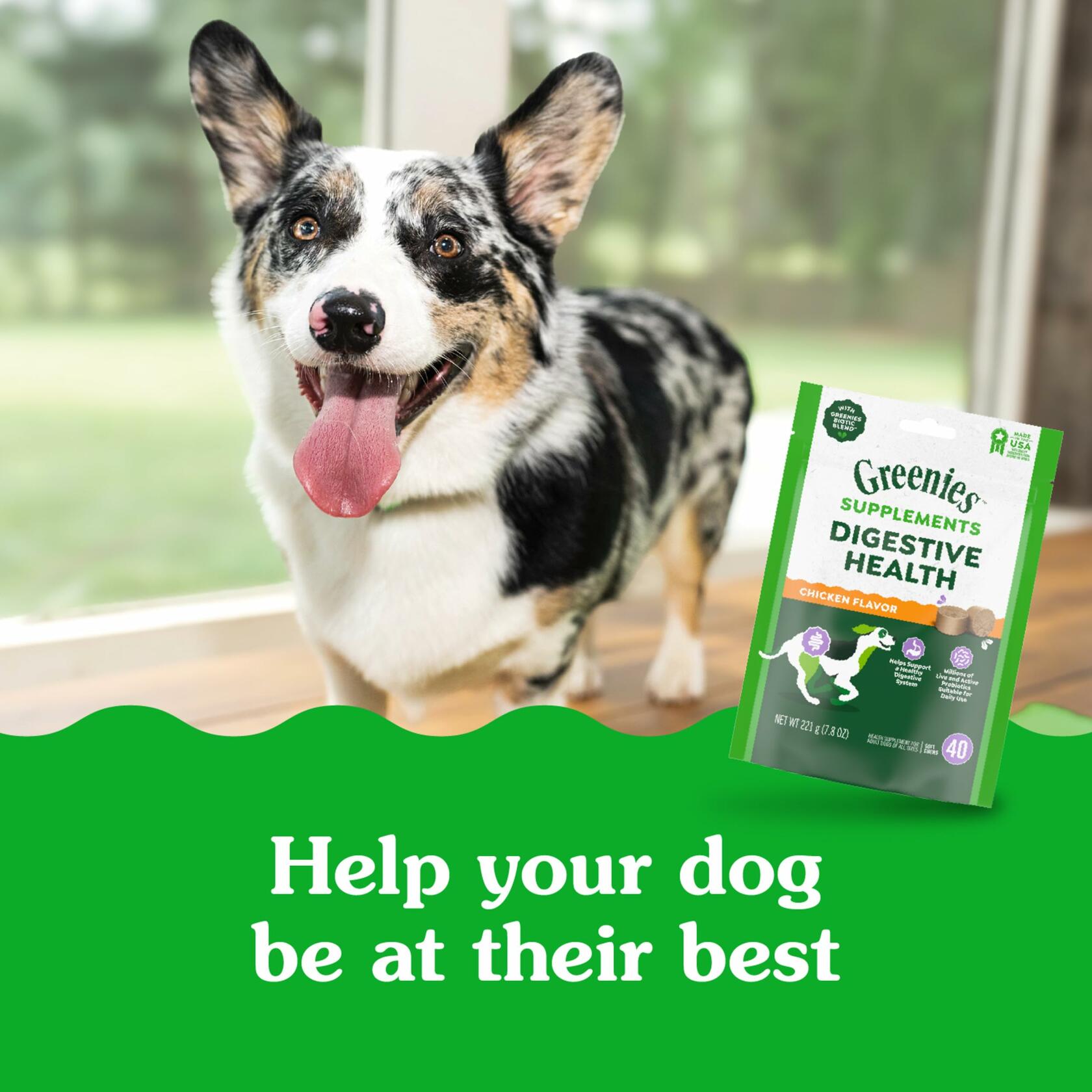 BestBy01/25 Greenies Digestive Health Probiotics DogTreats Chicken 7.8oz 40ct