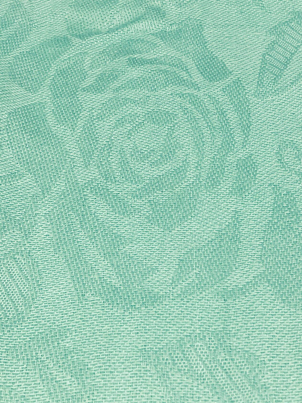 Elu Pashmina Shawl Large Flower Textured Sea Green Soft Wrap 78x28