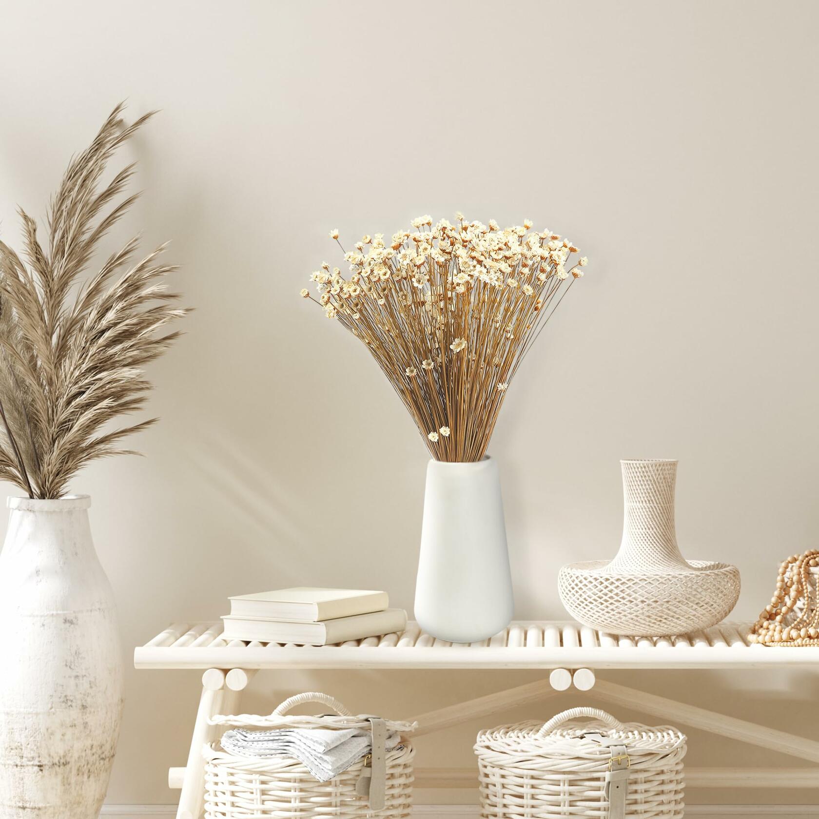Dried Daisy Flowers Brazilian Small Star Mini Chamomile White Wedding Decor
