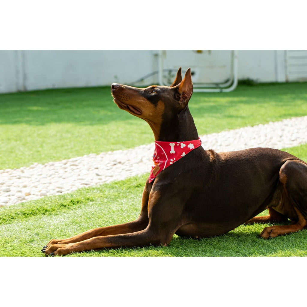 Big Sister Dog Bandana Double Layer Fabric Green Large Size L