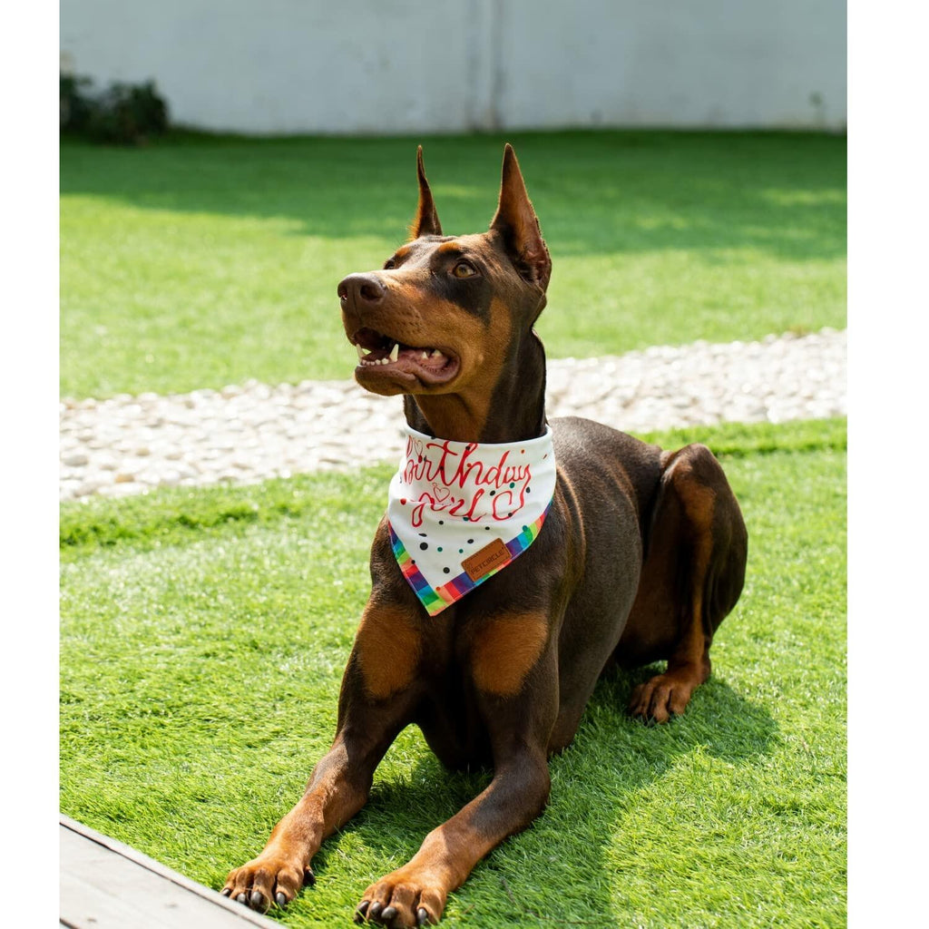 Big Sister Dog Bandana Double Layer Fabric Green Large Size L