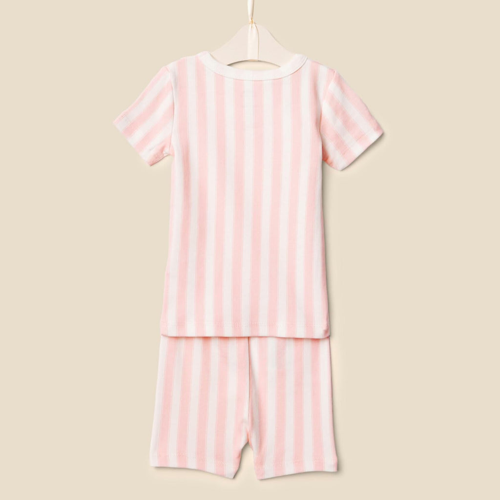 Amazon Essentials Sofia Grainge Unisex Toddler Pajama Set 4T Pink Stripe