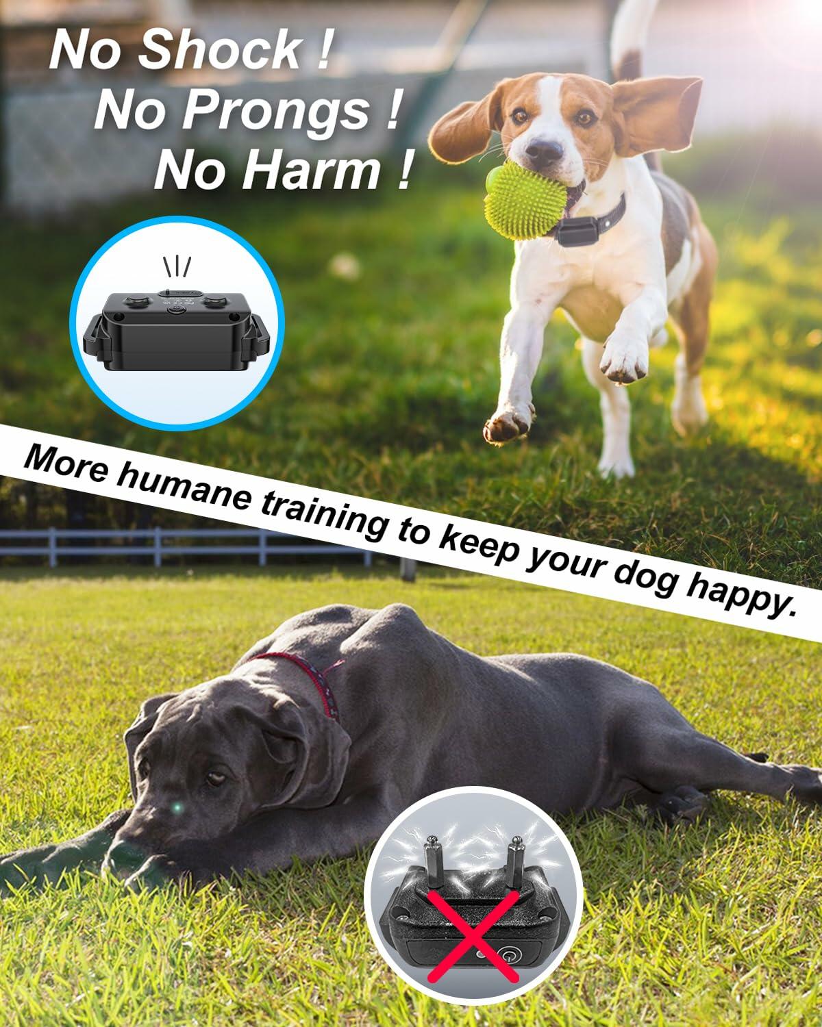 No Shock Dog Training Collar Remote Vibrate Safe Lock Waterproof Black