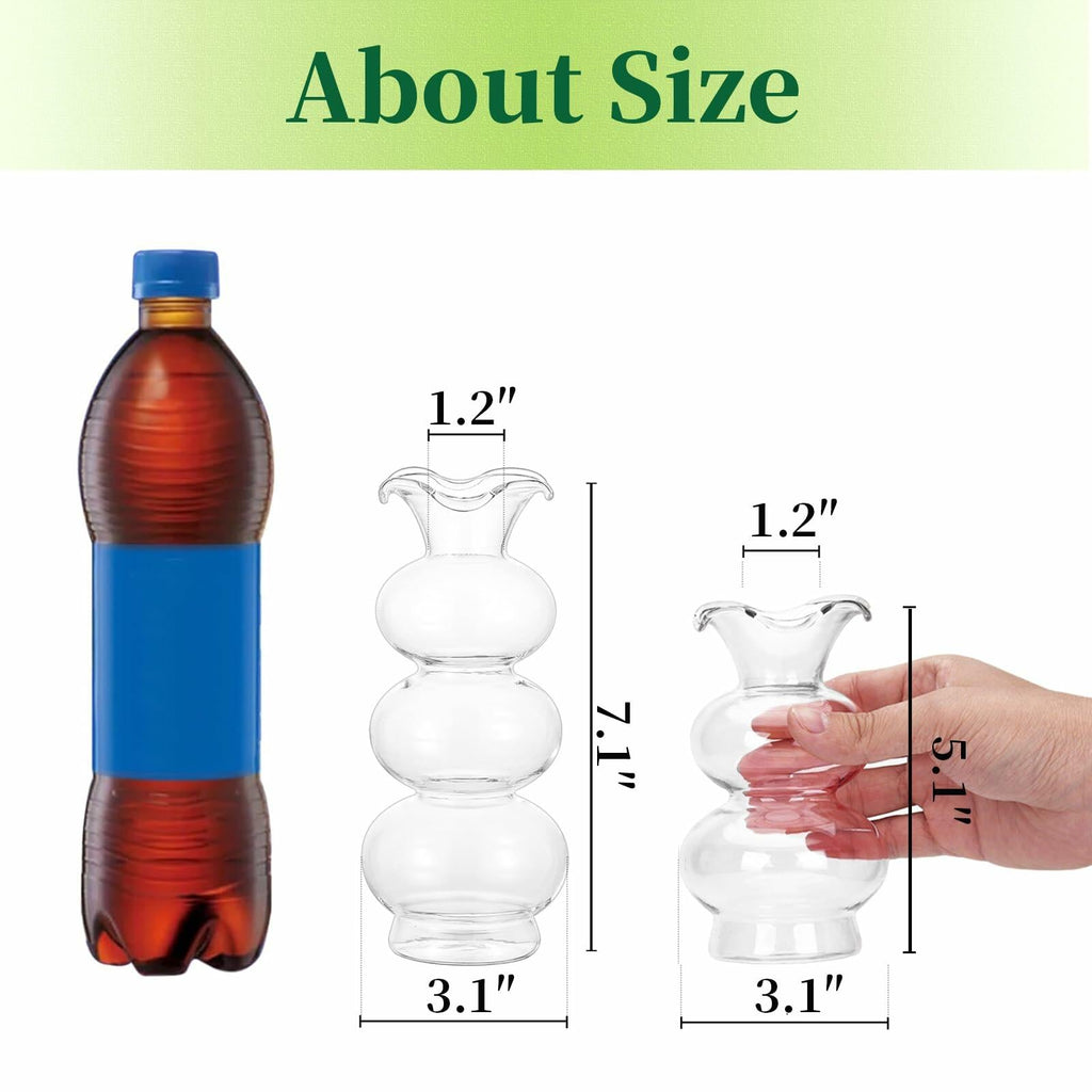 Hewory Glass Bubble Bud Vase Small Clear Glass Flower Vase for Single Stem