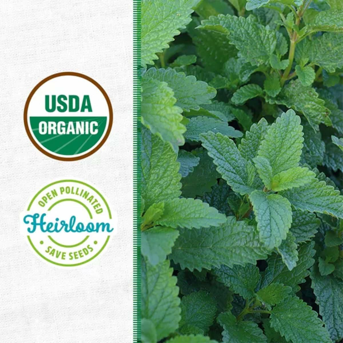 Wellness Grow Kit Lemon Balm Herb Plant Grow Kit 0.75lb Package