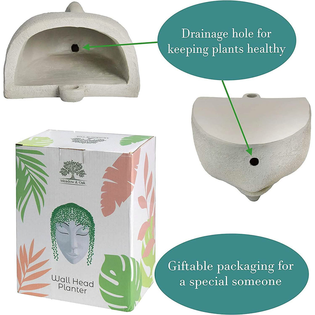 Outdoor Face Planter with Drainage for Cute Plants