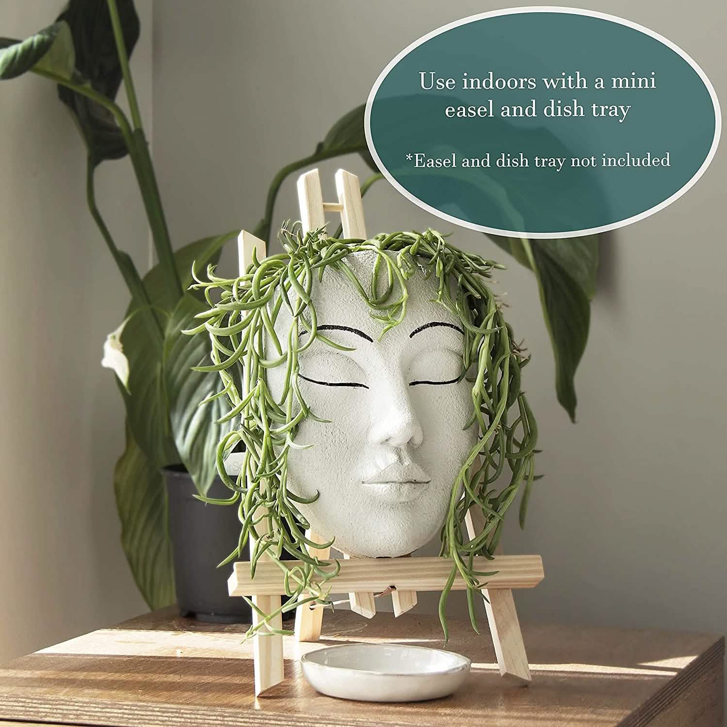 Outdoor Face Planter with Drainage for Cute Plants