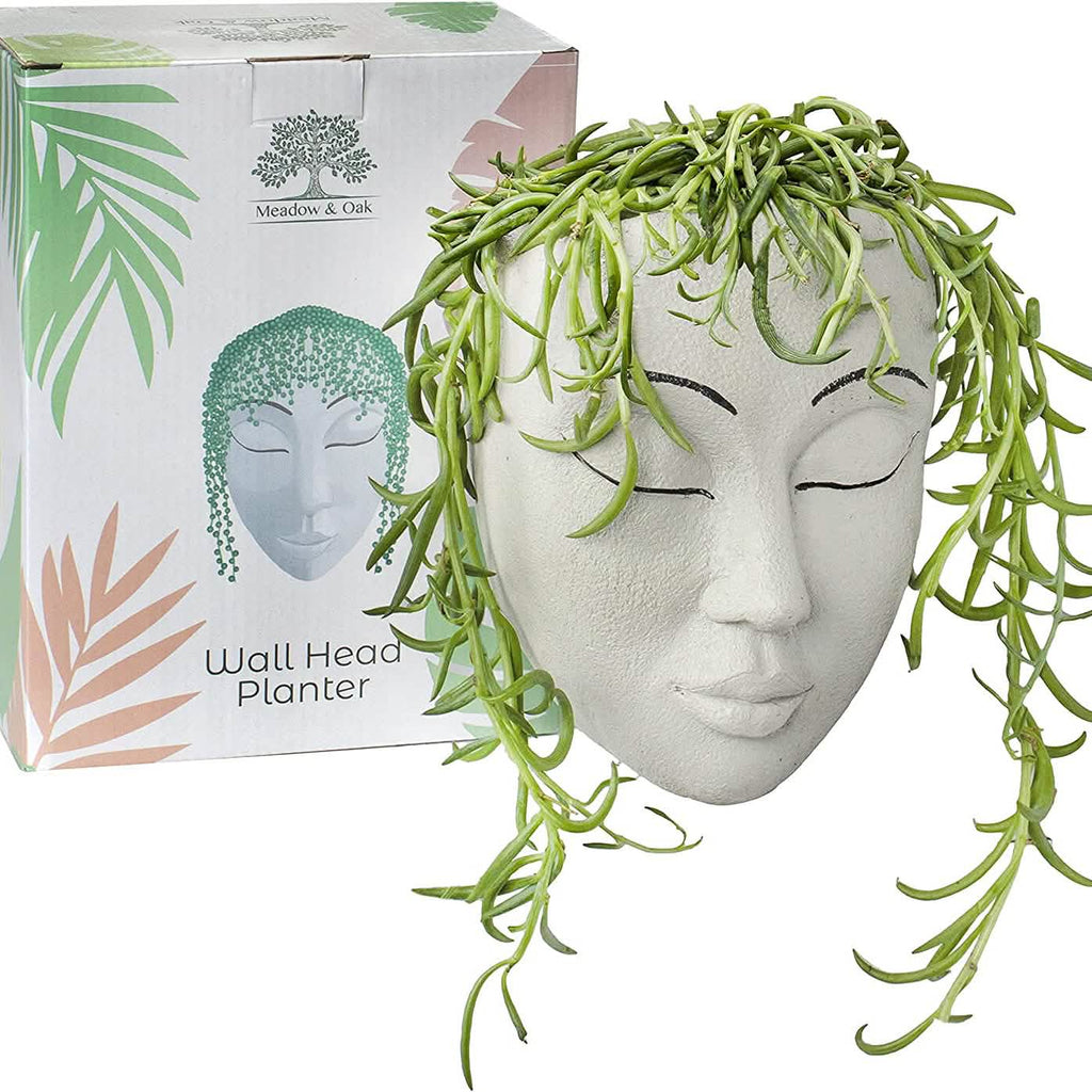 Outdoor Face Planter with Drainage for Cute Plants