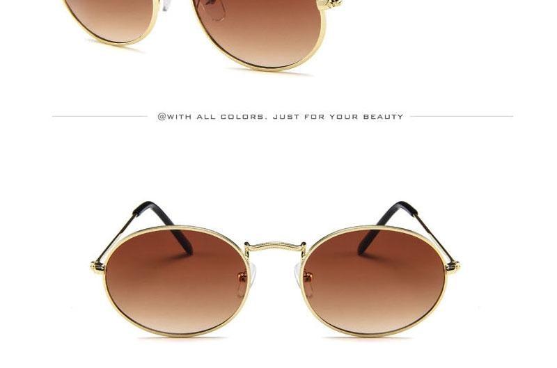 Oval Sunglasses Vintage Retro Sunglasses Designer Glasses for Women Men Oval Shape Sunglasses For Women/Men  Popular Luxury Round Shape  Sunglasses