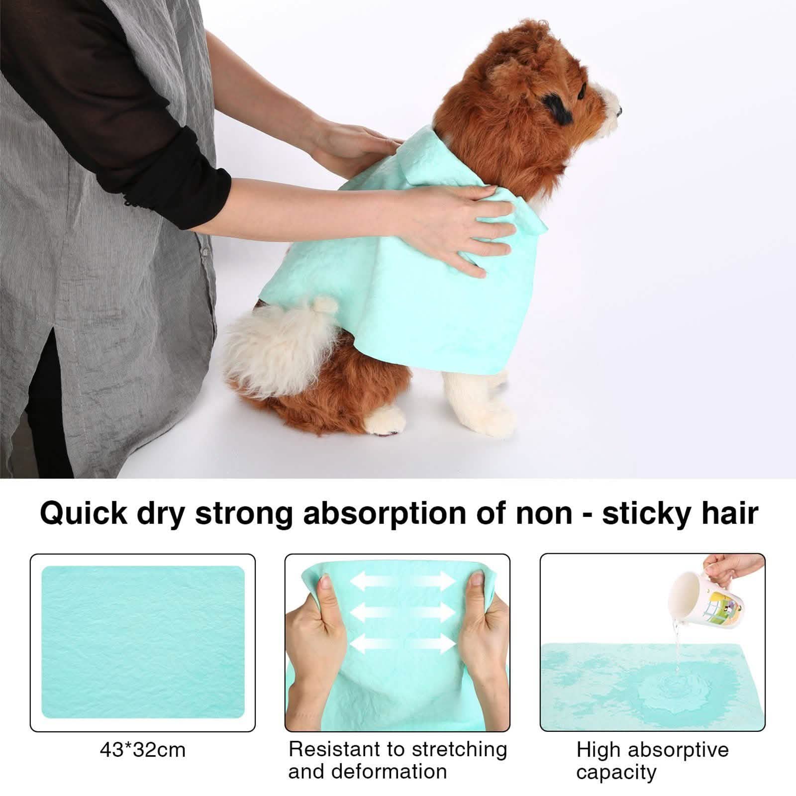 Ownpets 2-in-1 Pet Hair Dryer Portable