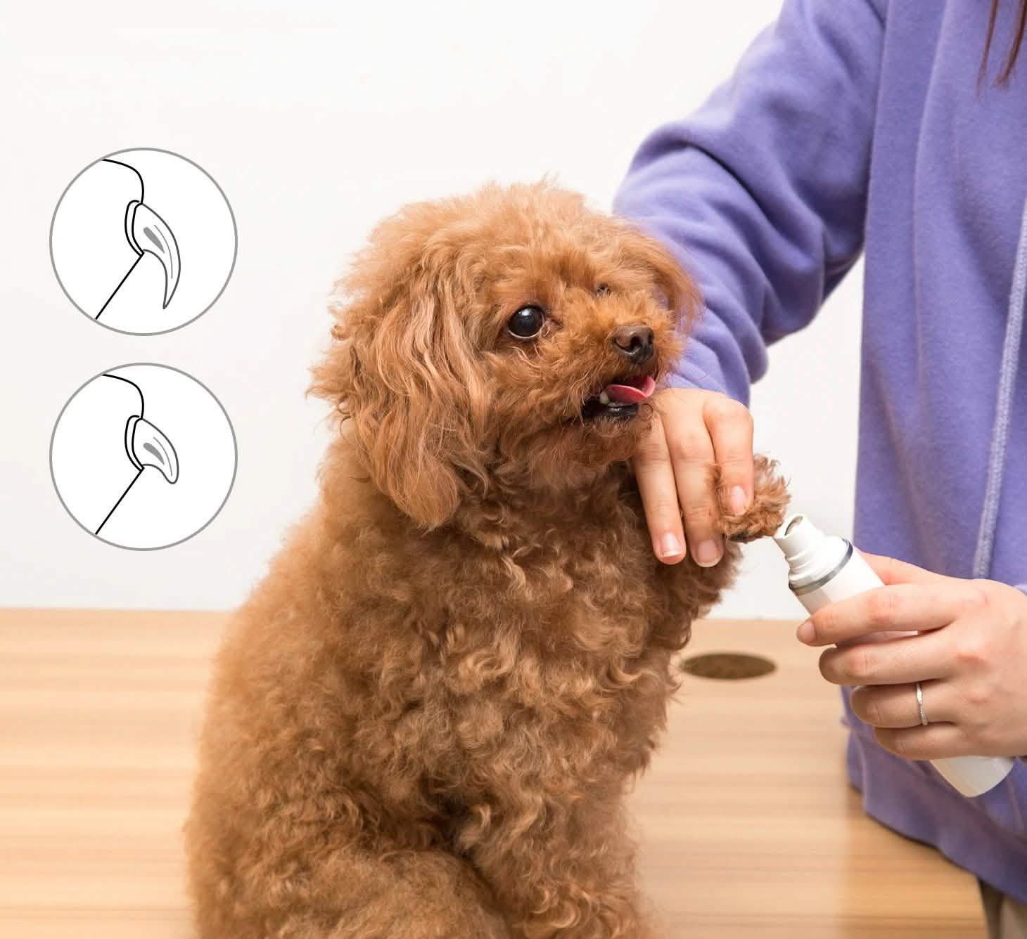 Ownpets Rechargeable Pet Nail Clipper Tool Kit