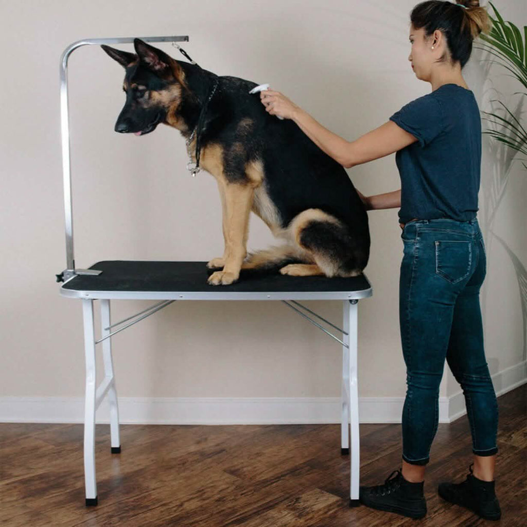 Oxgord 36" Pet Grooming Foldable Table