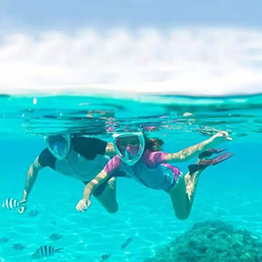 Panoramic Snorkeling Mask Full Face GoPro Compatible Snorkel Mask Scuba Mask