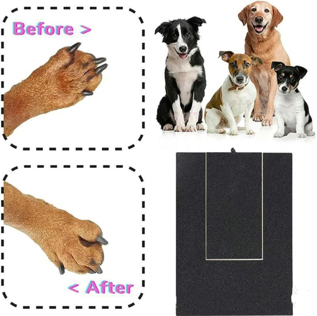 Paw Nail Smooth Board