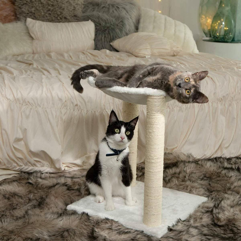 Paws & Pals 3-in-1 Cat Scratching Post with Hammock and Toy