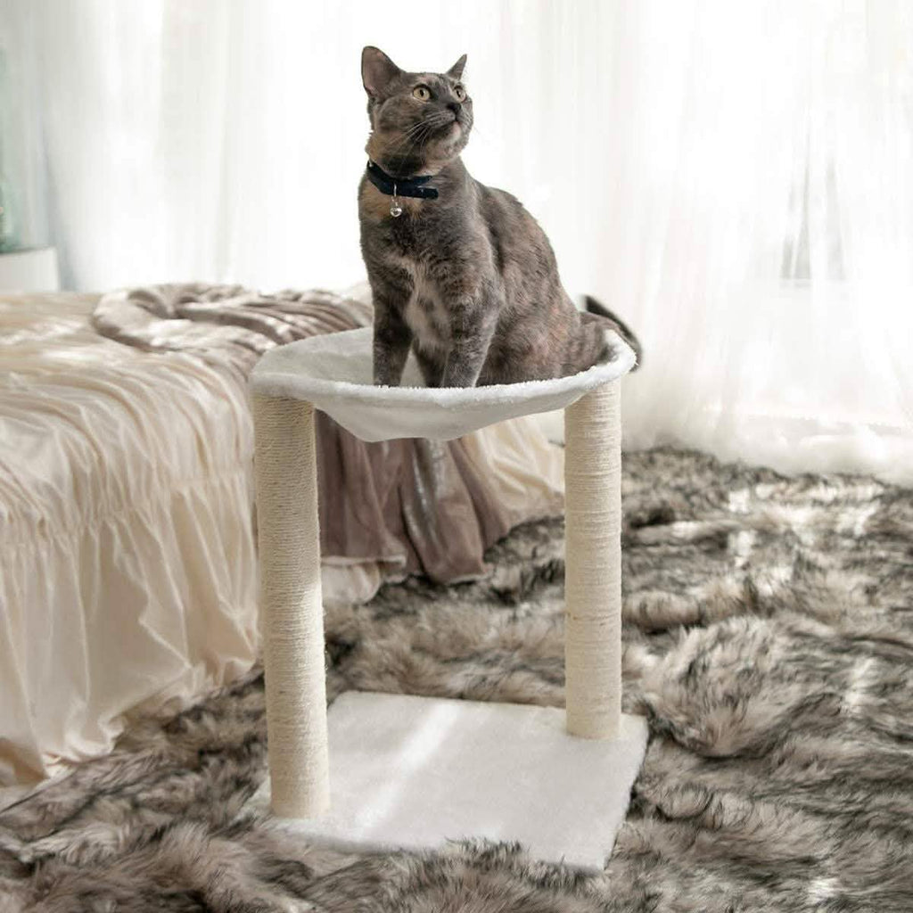 Paws & Pals 3-in-1 Cat Scratching Post with Hammock and Toy