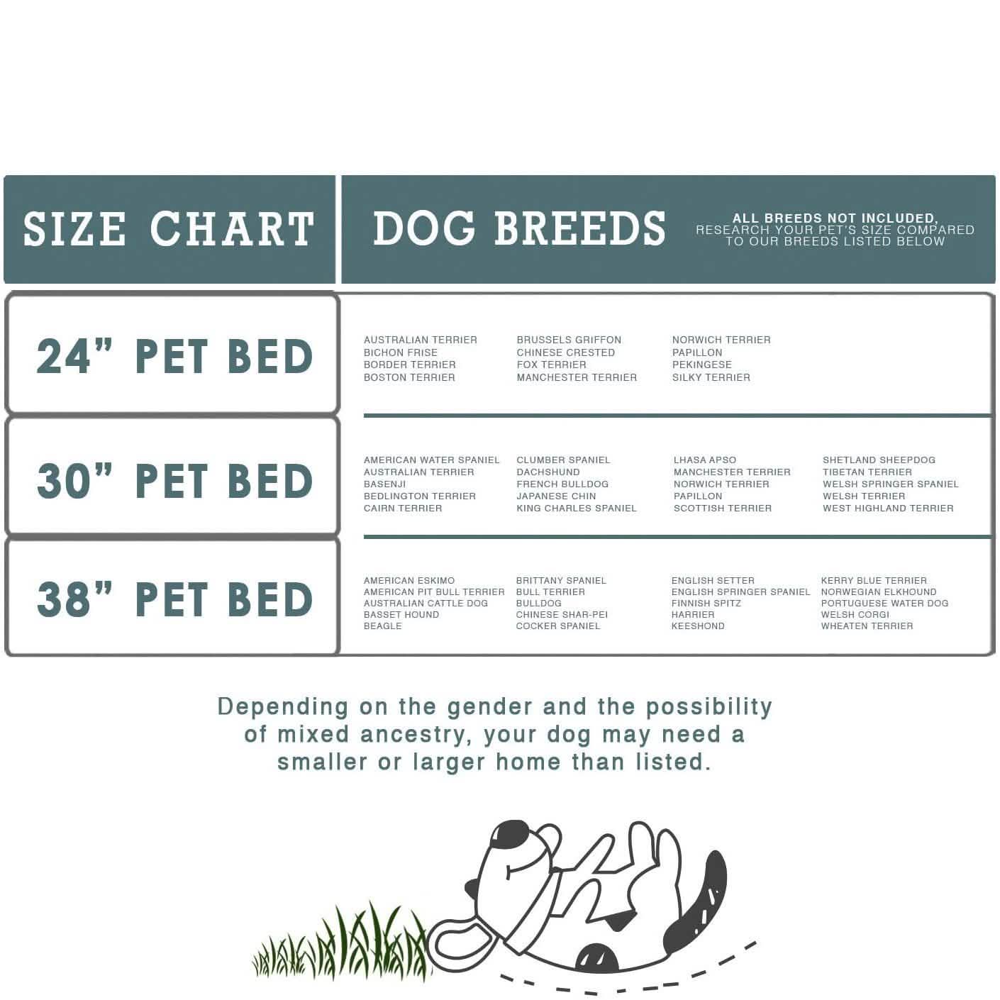 Paws & Pals Bed for Pets