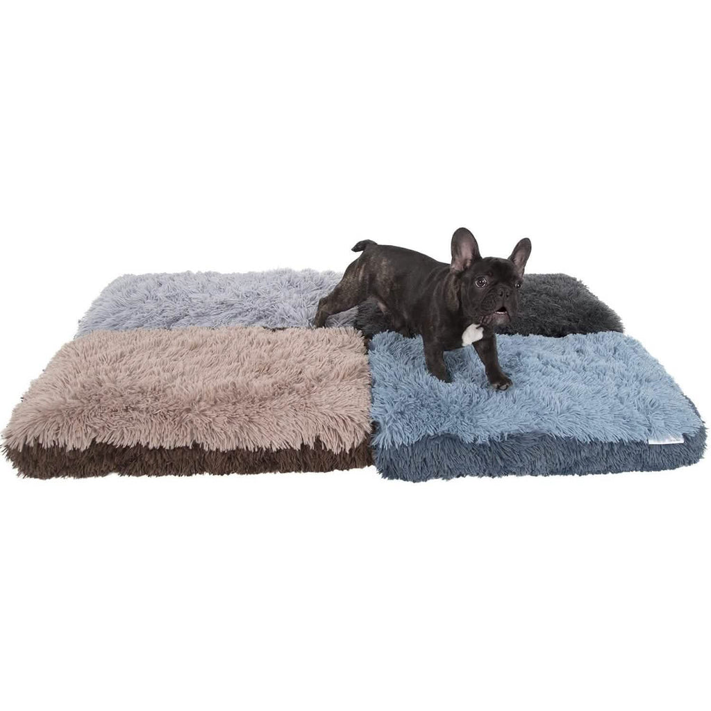 Paws & Pals Bed for Pets