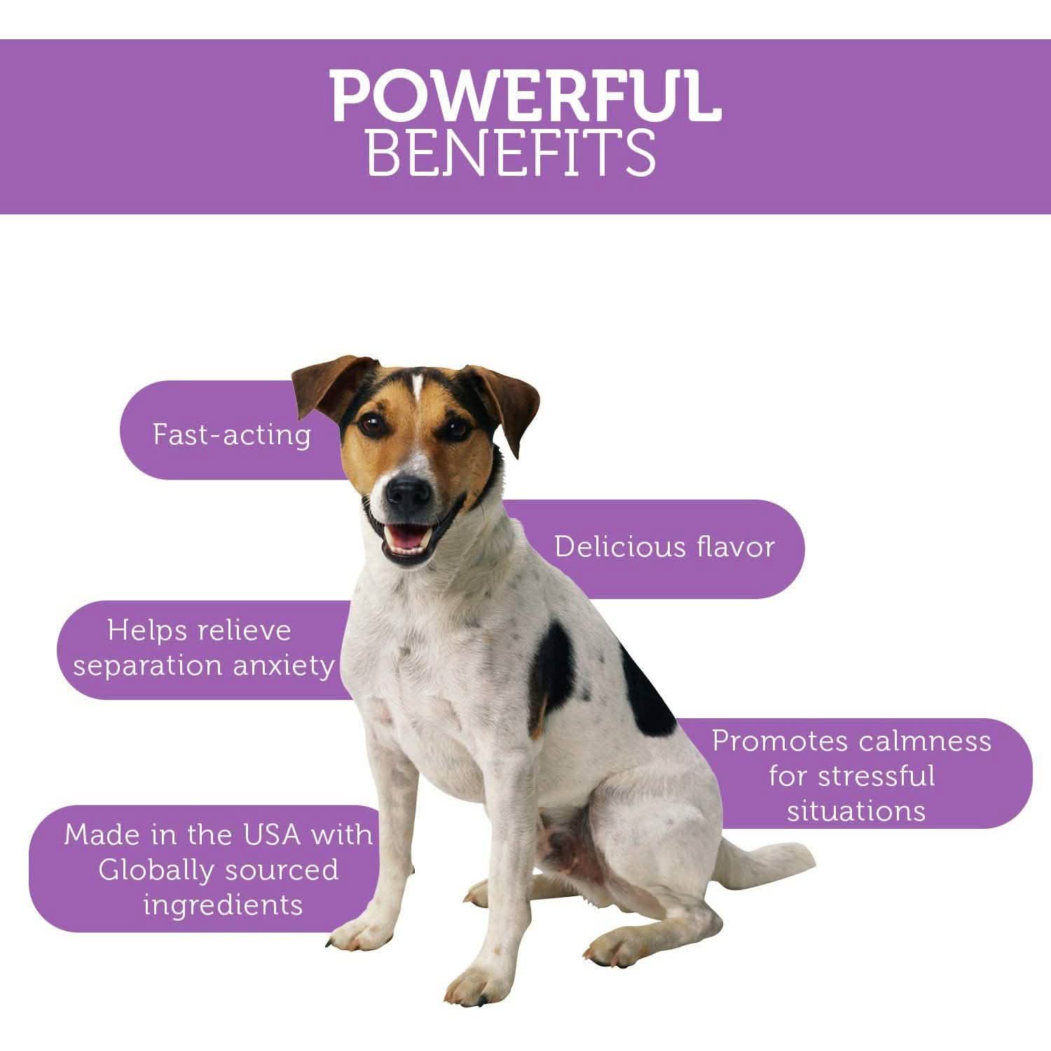 Paws & Pals Dog Calming Treats - Pet Anti Anxiety Supplement