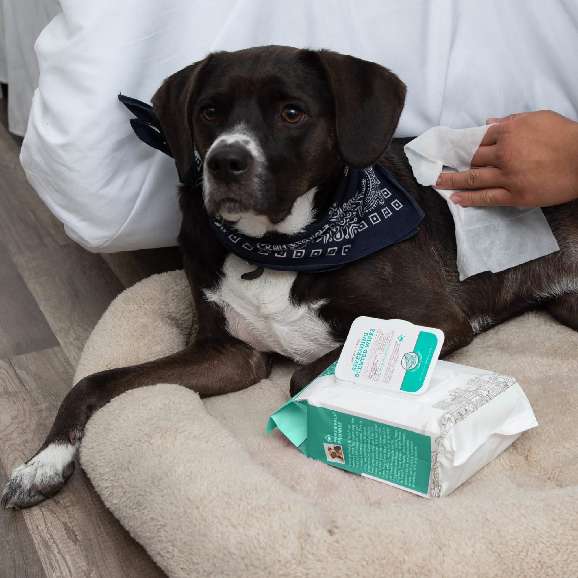 Paws & Pals Pet Grooming Wipes Hypo-Allergenic Cleansing and Deodorizing