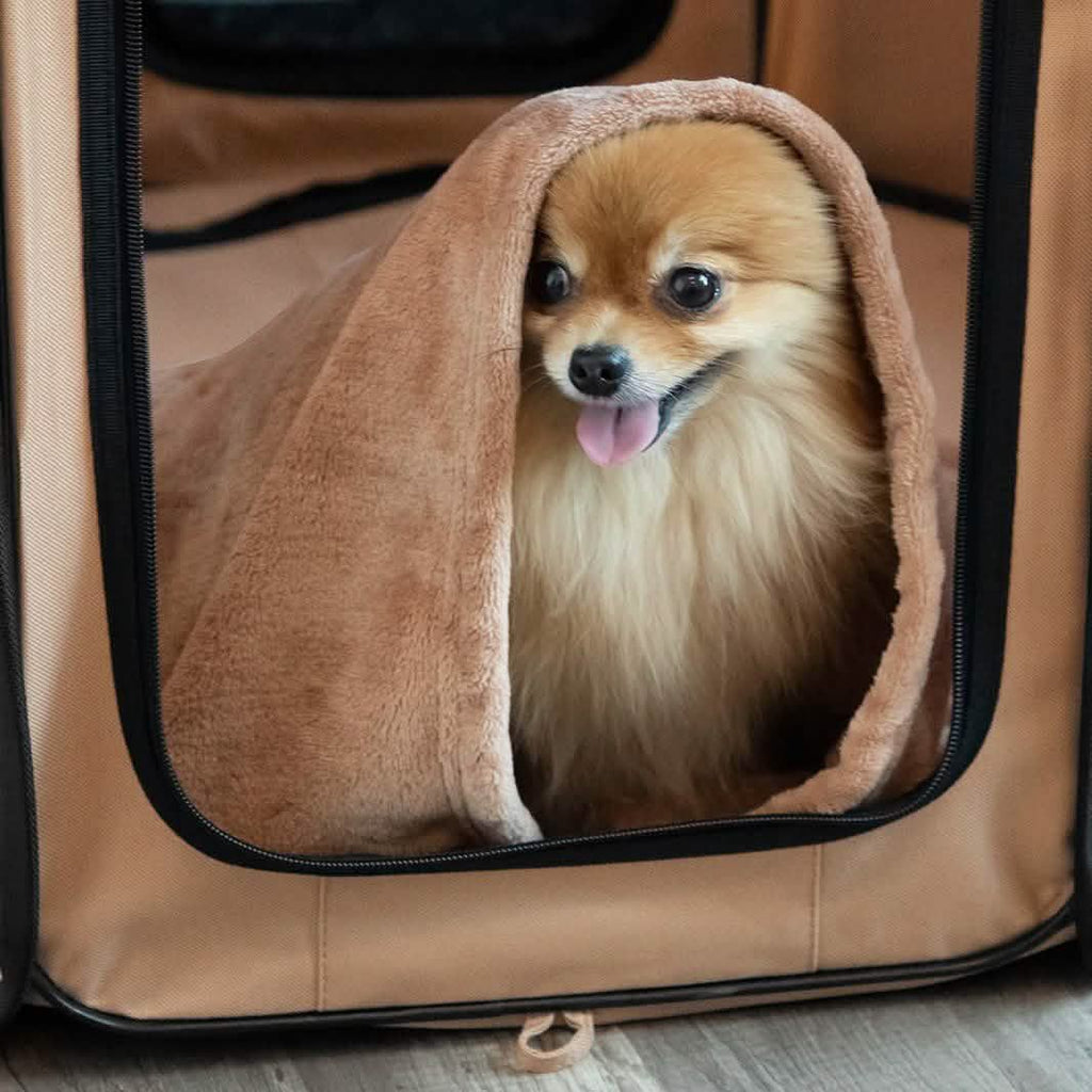 Paws & Pals Portable Pet Playpen with Blanket