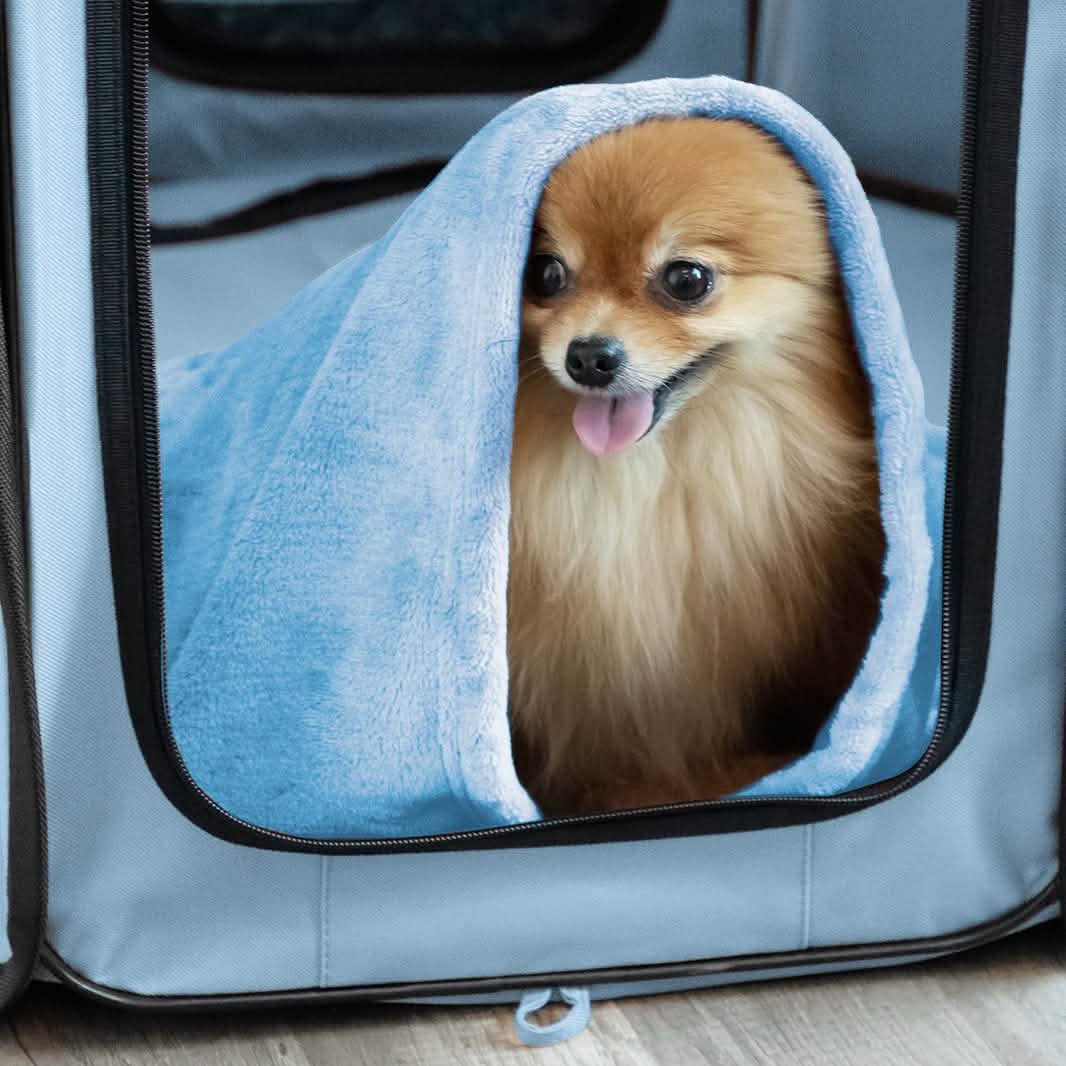 Paws & Pals Portable Pet Playpen with Blanket