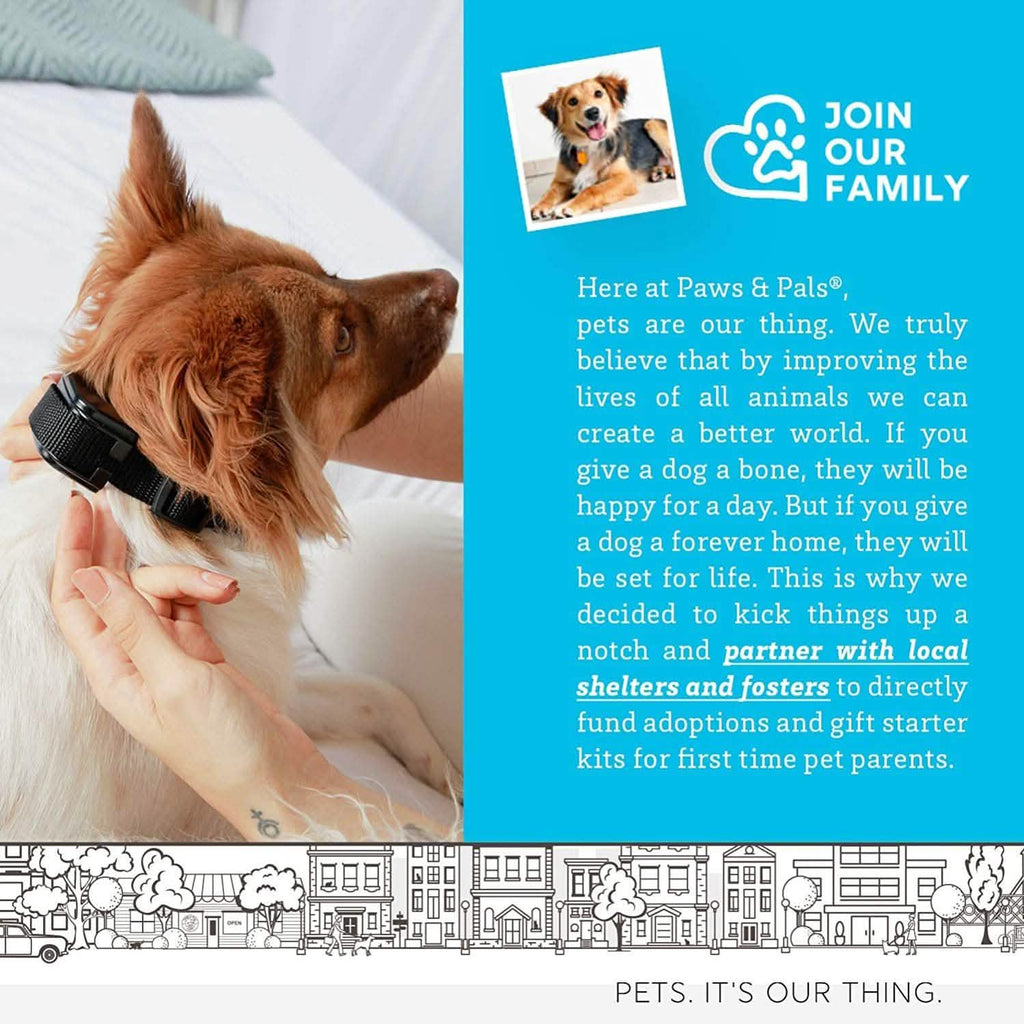 Paws & Pals Shock Collar for Dogs