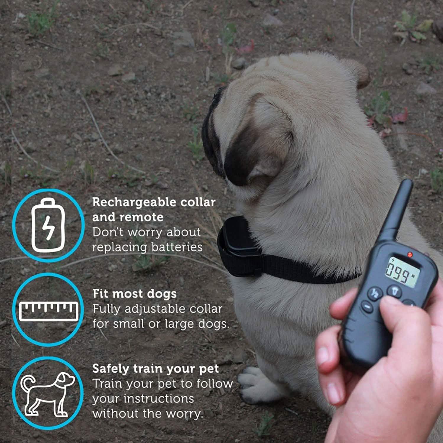 Paws & Pals Shock Collar for Dogs