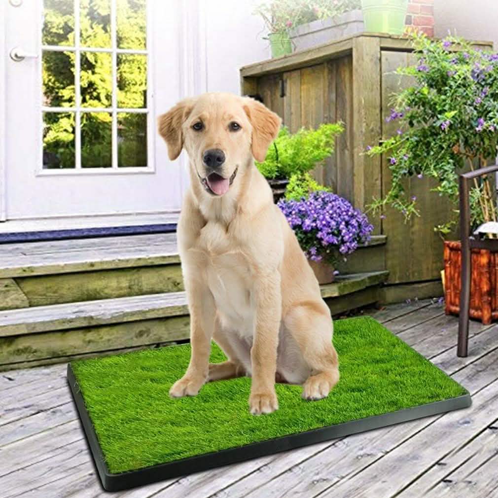 Pet Loo Portable Indoor/Outdoor Pet Potty