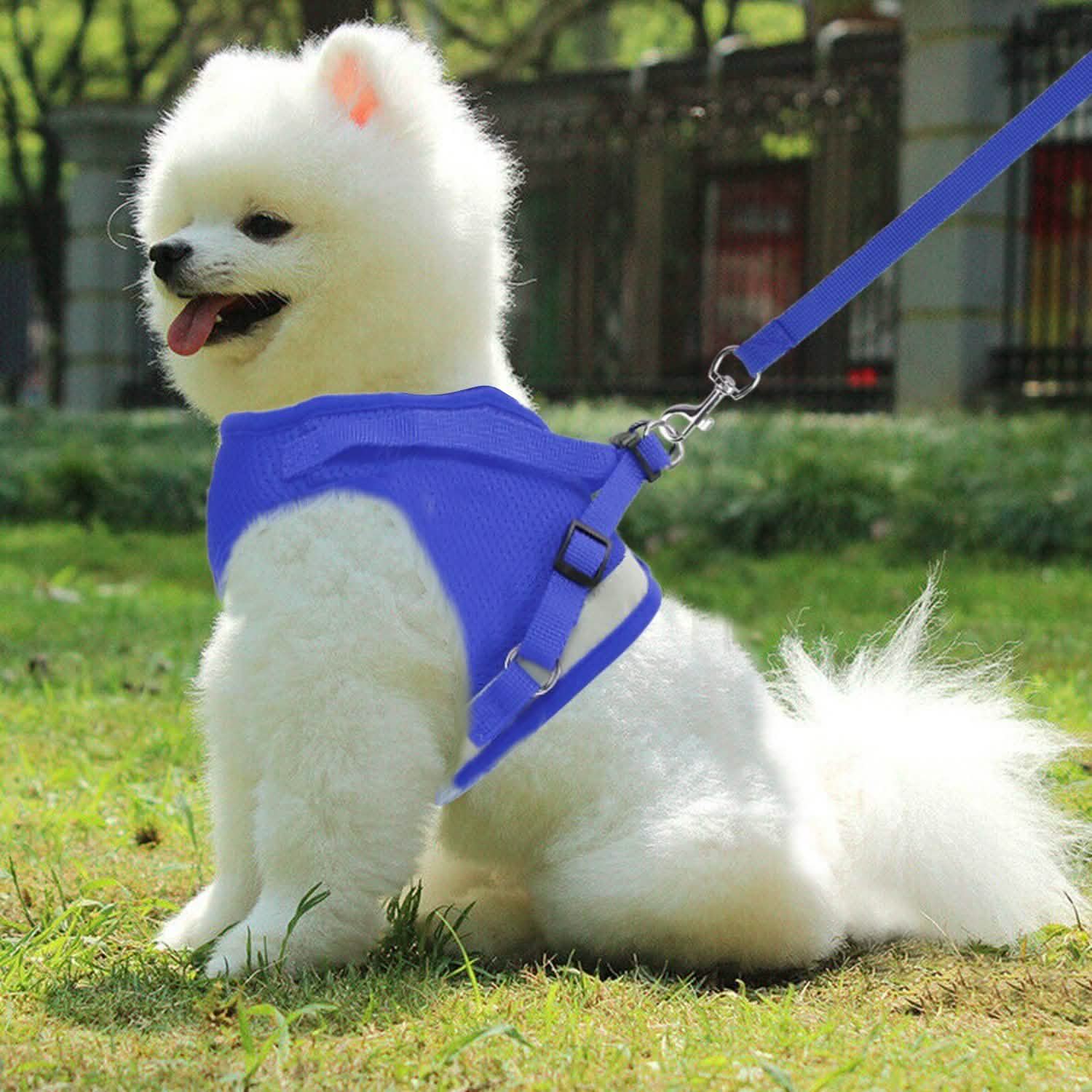 Pet Mesh Harness Dog Leash Puppy Vest