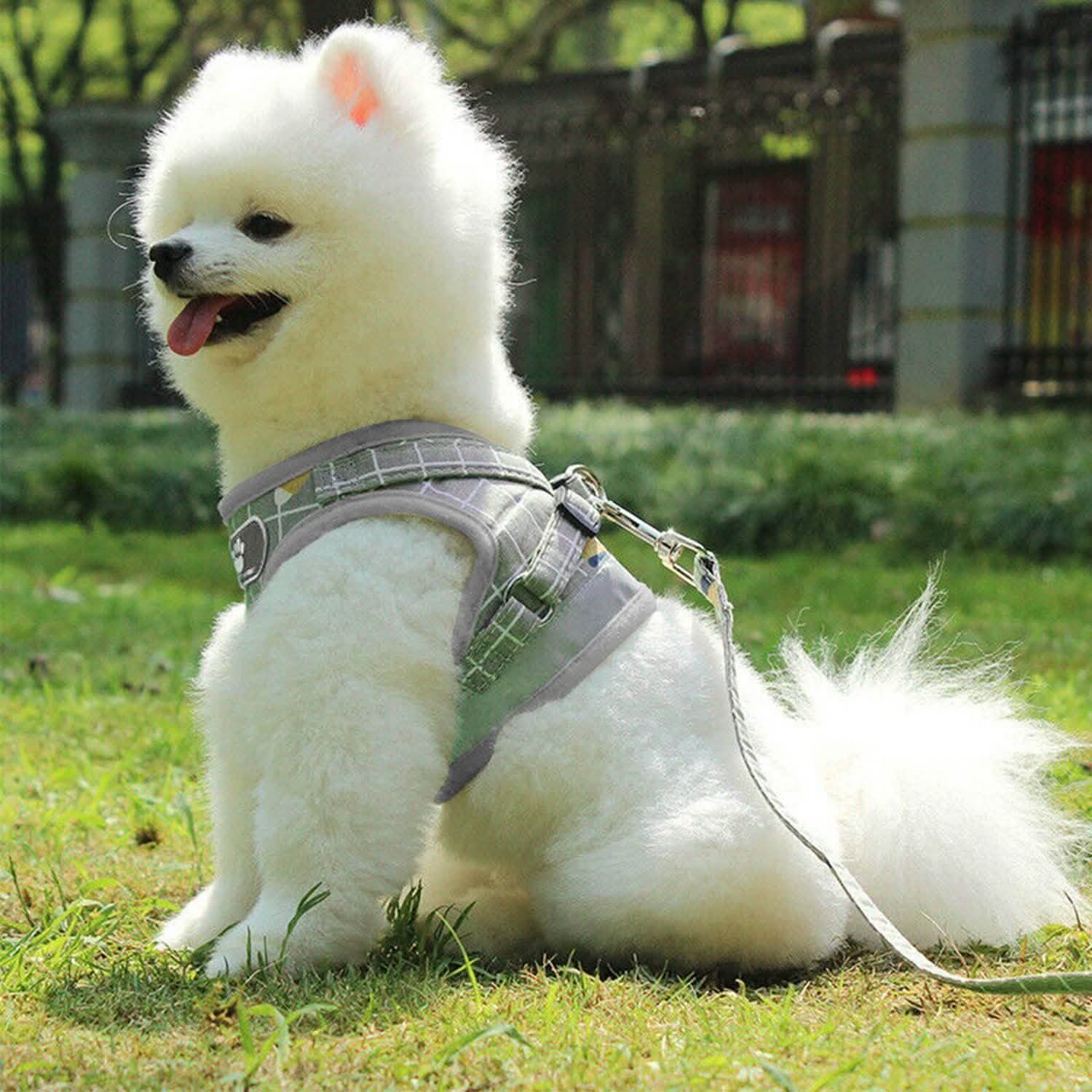 Pet Mesh Harness Dog Leash Puppy Vest