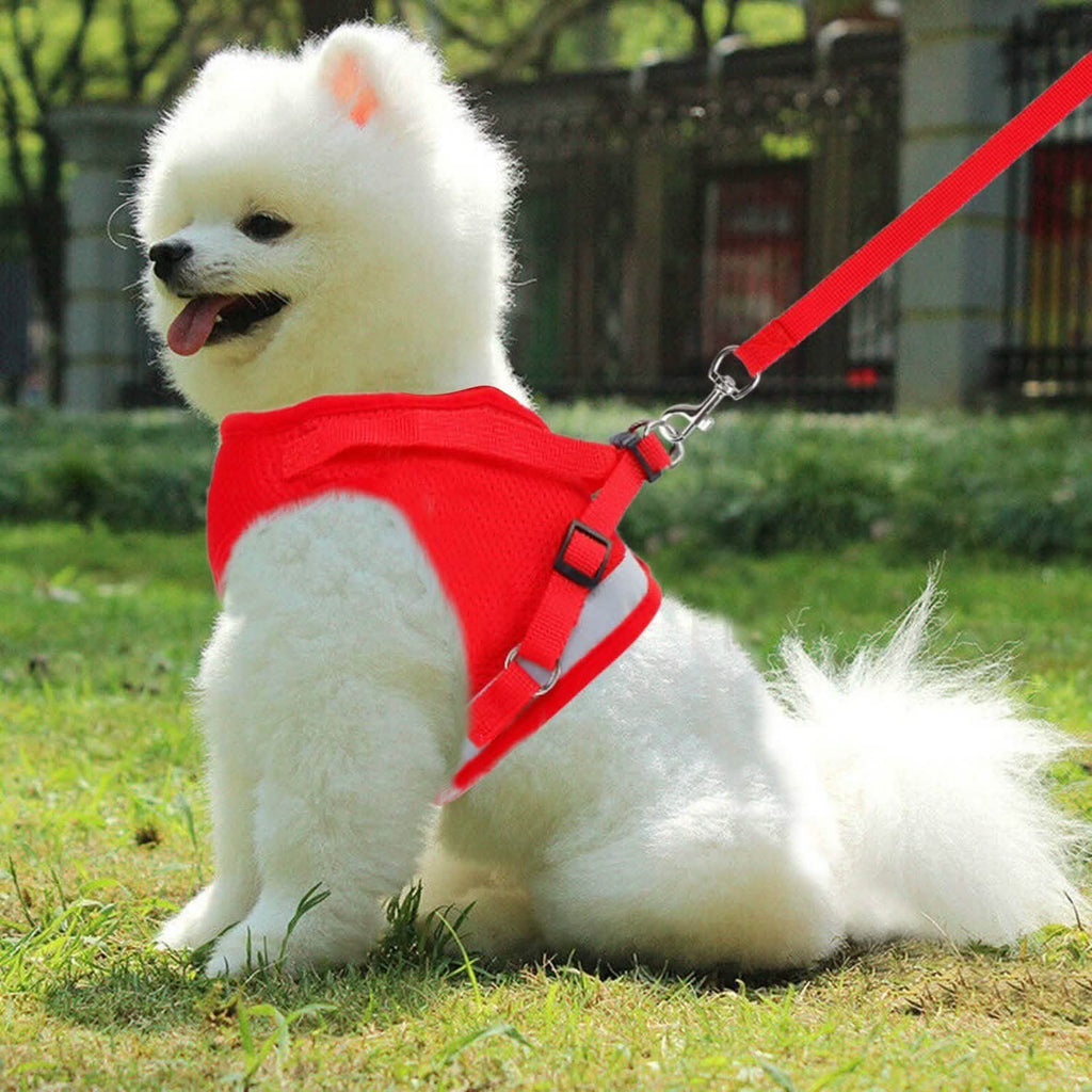 Pet Mesh Harness Dog Leash Puppy Vest