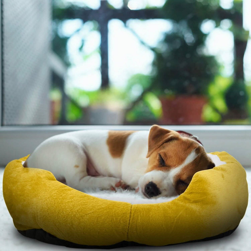 Pet Puppy Cat Soft Warm Fleece Bed