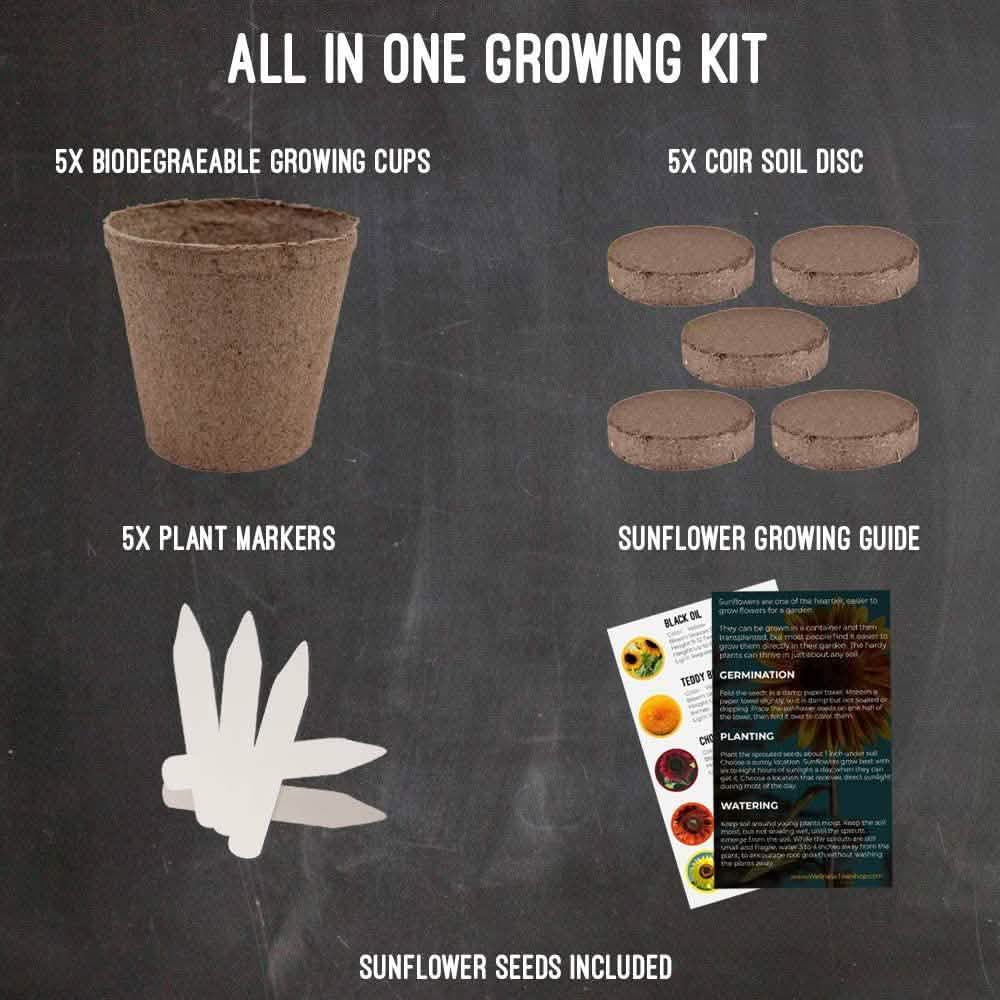 Plant Your Own Garden Grow Kit