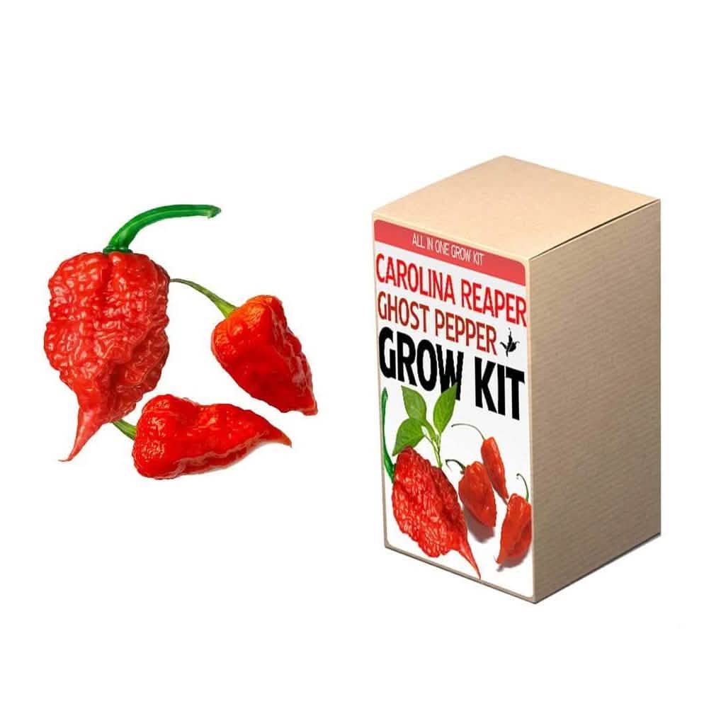 Plant Your Own Garden Grow Kit