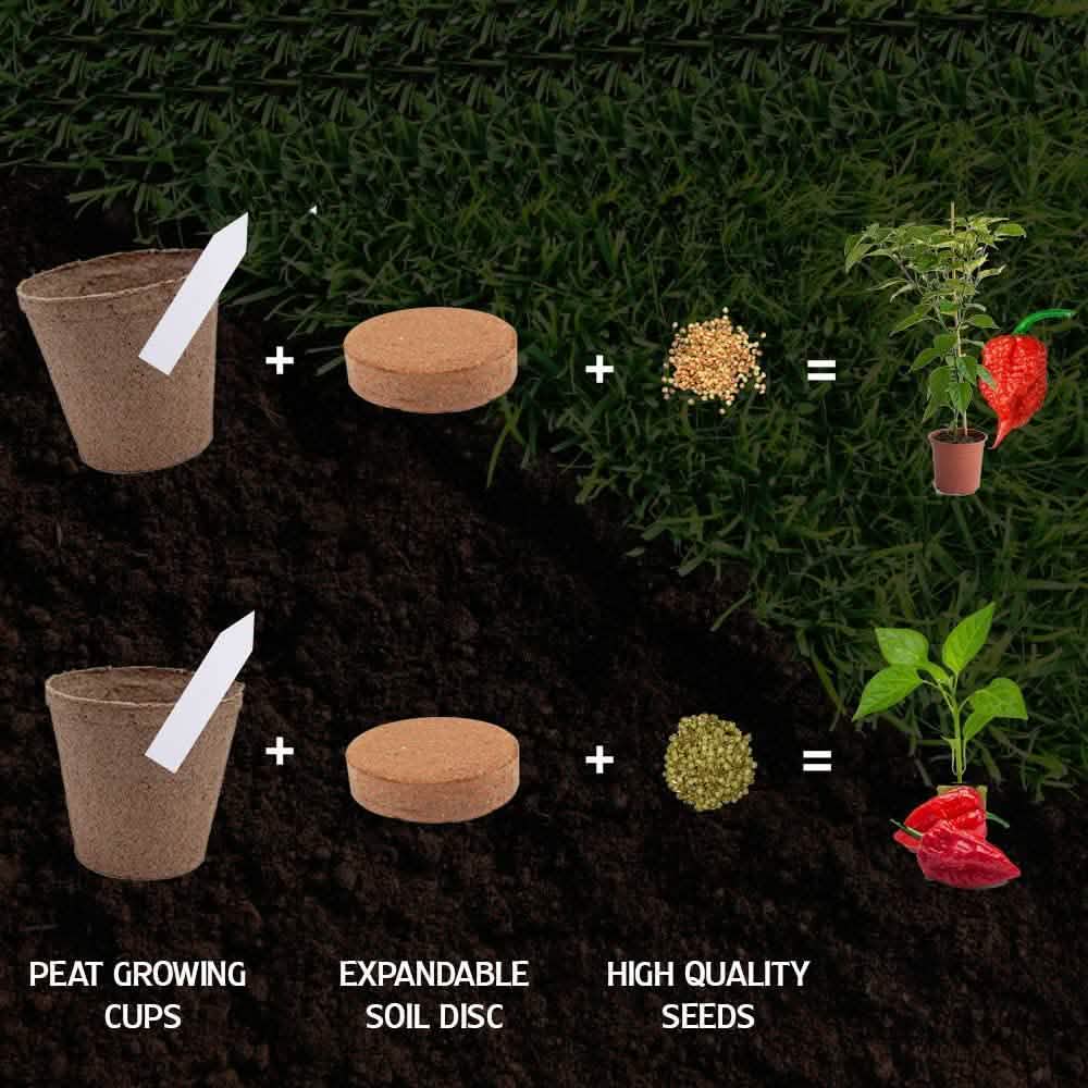Plant Your Own Garden Grow Kit