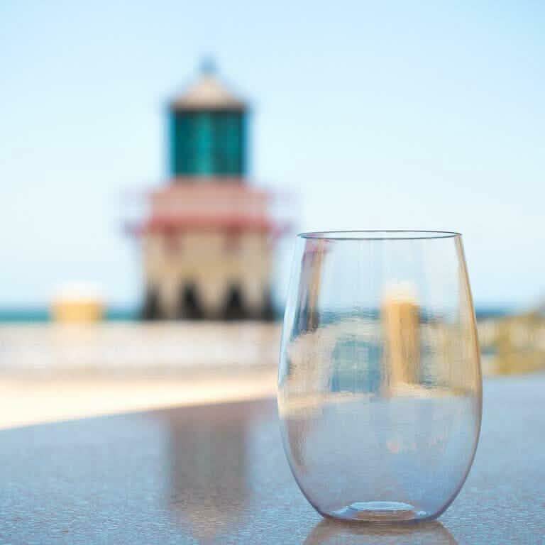 Plastic Stemless Wine Glasses by En Soiree