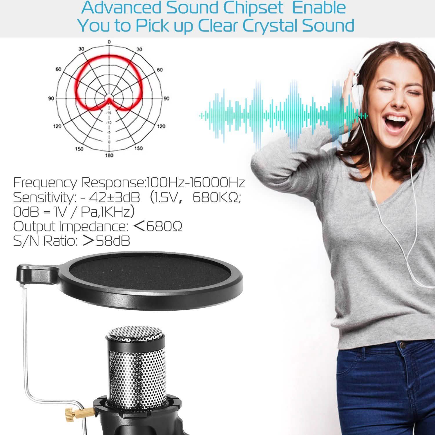 Professional Condenser Studio Recording Microphone