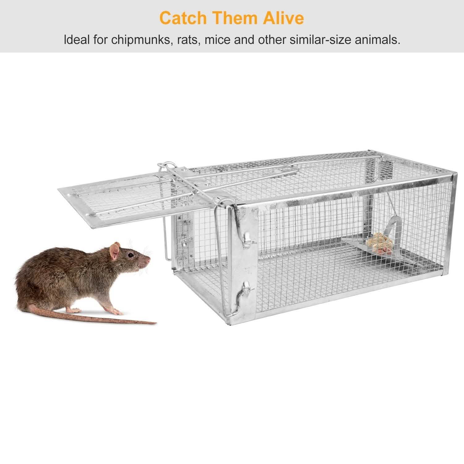 Rat Trap Cage Humane Live Rodent